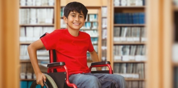 الشبكة الفلسطينية لتنمية الطفولة المبكرة 2